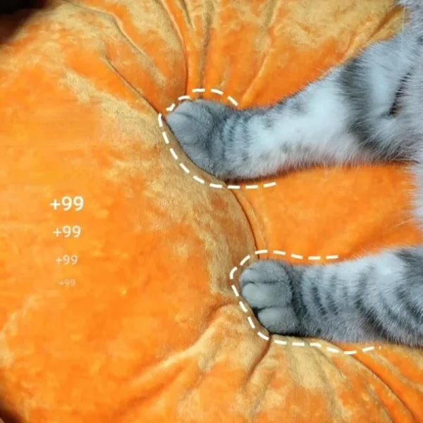 Cats Pet Products Warm Accessory Winter Bed Christmas Houses Halloween Puppy Habitats All Supplies Basket Cushions Kitten Beds - Image 6